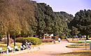 篠崎公園