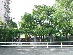 中篠崎公園
