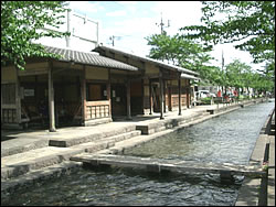 曳舟川親水公園