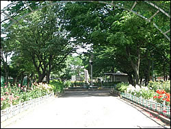 渋江公園