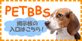PET BBS入口