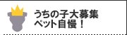 うちの子大募集 ペット自慢！