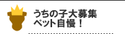 うちの子大募集 ペット自慢！