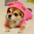 るぅ ちゃん