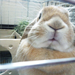 もこ ちゃん