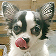 ゆめ ちゃん